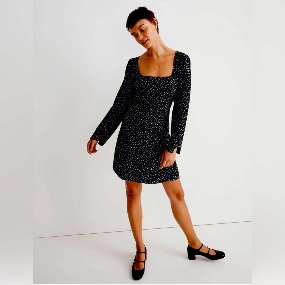 Madewell Seamed Long-Sleeve Mini Dress in Ditsy Floral Cottagecore Size 4